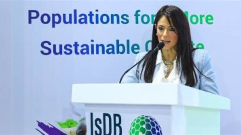 وزيرة التعاون الدولي