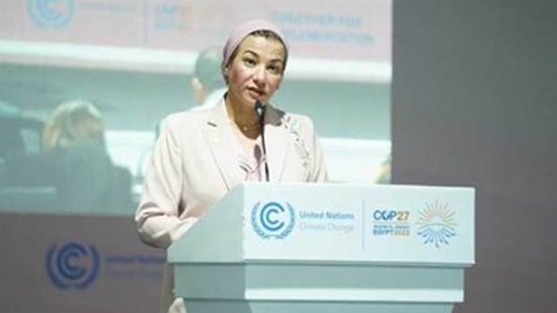 الدكتورة ياسمين فؤاد