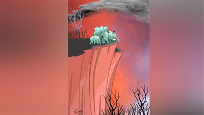 #الريشة_في_مواجهة_التغيرات_المناخية 