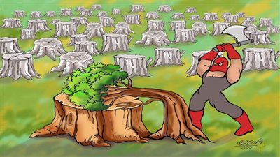 #الريشة_في_مواجهة_التغيرات_المناخية 