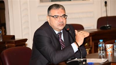 برلماني بالقليوبية: العنف الأسري أحد أهم أسباب الطلاق في مصر