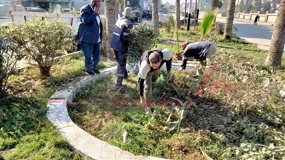 رفع المخلفات وحملات نظافة وزراعة الأشجار بمدن كفر الشيخ