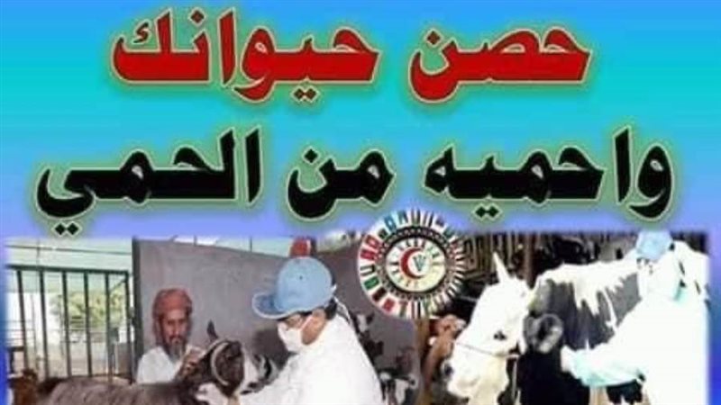 انطلاق فعاليات الحملة