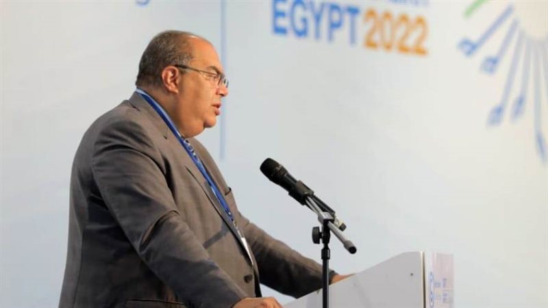 الدكتور محمود محيي