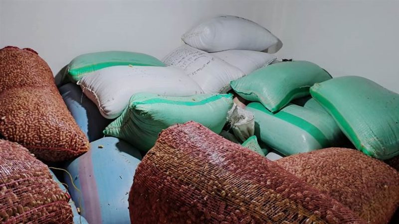ضبط 25 طن أرز شعير