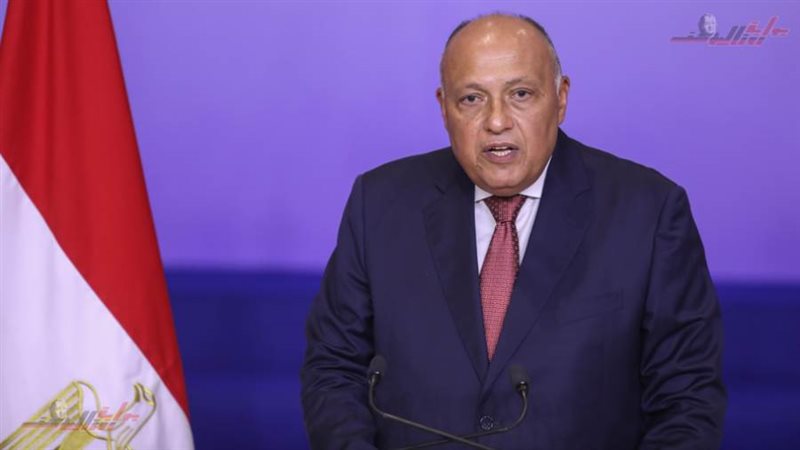 سامح شكري وزير الخارجية