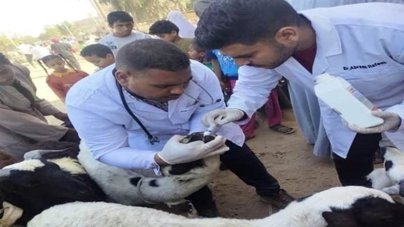 تحصين المواشي