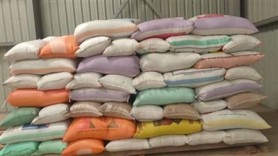 انتظام أعمال توريد محصول الأرز للشون والمخازن بالبحيرة