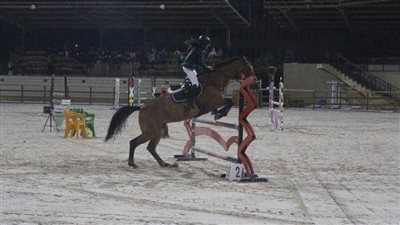 شباب وناشئو مصر للفروسية في معسكر إعداد للبطولات الدولية