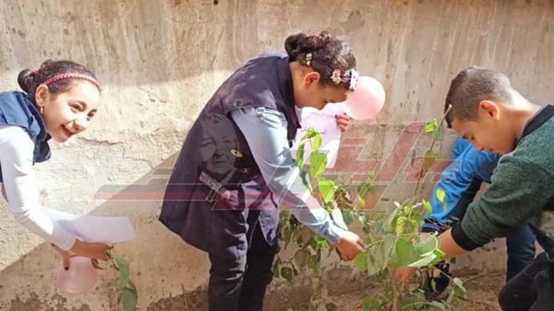 زراعة الأشجار