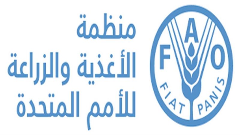 البرنامج الإقليمي