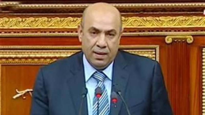 النائب علاء عبد النبي