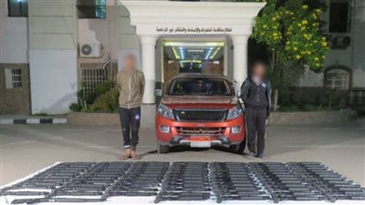 ضبط متهمين لقيامهما بالاتجار في الأسلحة والذخائر غير المرخصة بالجيزة