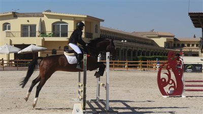 دورة دولية لمصممي الموانع لرياضة الفروسية باللجنة الأولمبية 