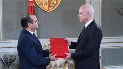 الرئيس التونسي يؤكد ضرورة تنظيم الانتخابات التشريعية في موعدها المحدد
