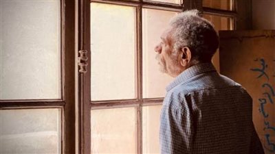 طارق الشناوي: 