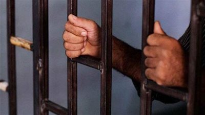 المشدد 15 عاما لشقيقين قتلا نجل عمهما في مشاجرة بطوخ 