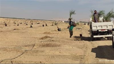 حملة إزالة للتعديات على أملاك دولة بقرى شرق بولاق بالوادي الجديد 