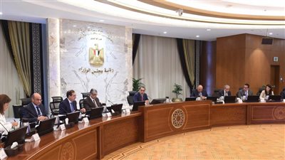 الحكومة توافق على إنشاء الجهاز  المصري للملكية الفكرية 