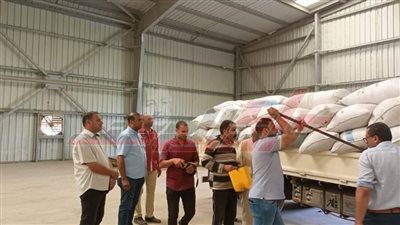 توريد 33356 طنًا و759 كيلو أرز شعير بكفر الشيخ