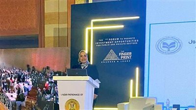 زهرة المدني: نسعى لإطلاق حزمة من المشروعات الاستثمارية في مصر.. والدولة تحفظ حقوق المستثمرين