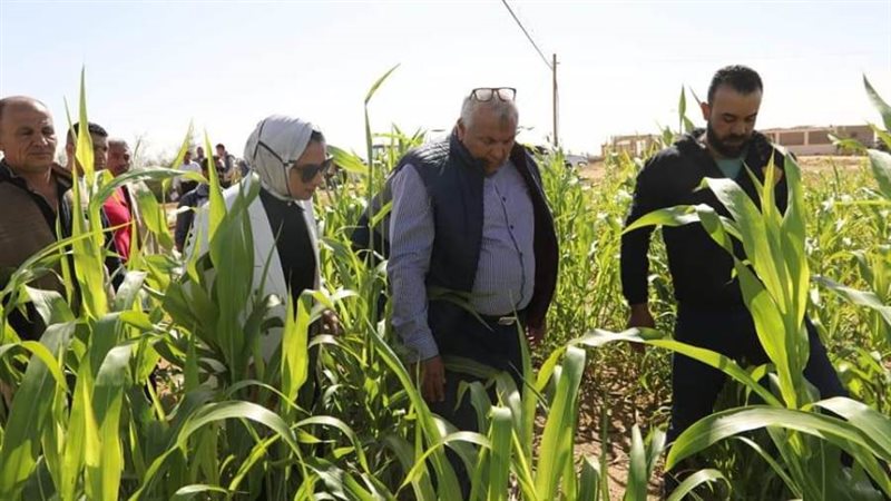 الزملوط يتفقد مشروعات