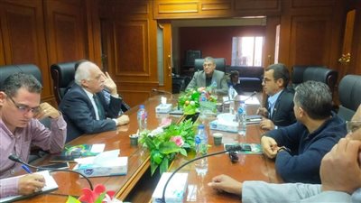 شعبة التسمين: خطة جديدة لخفض تكلفة إنتاج الدواجن وضبط الأسعار خلال الشتاء