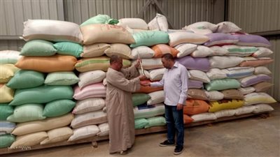 انتظام أعمال توريد محصول الأرز لشون ومخازن محافظة البحيرة