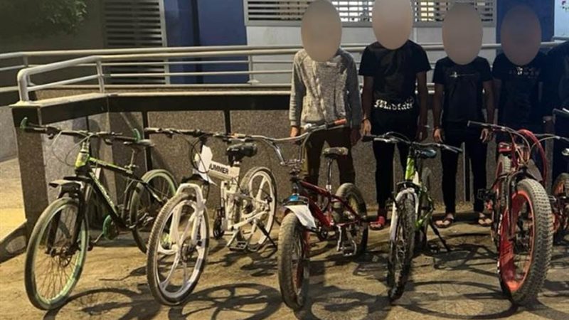 ضبط تشكيل عصابي