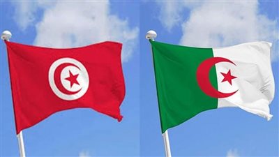 الجزائر وتونس تؤكدان على توافق رؤى ومواقف البلدين حول التهديدات المشتركة
