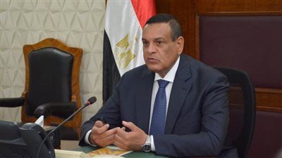 هشام آمنة: التنمية المحلية تسهم في زراعة 80 مليون شجرة ضمن مبادرة 