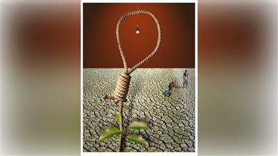 #الريشة_في_مواجهة_التغيرات_المناخية 