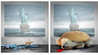 #الريشة_في_مواجهة_التغيرات_المناخية 