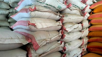 تموين كفر الشيخ: توريد 34 ألفا و 944 طنا من محصول أرز الشعير لمواقع التخزين