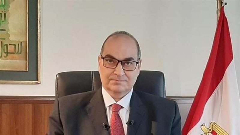 محمد فوزي رئيس هيئة