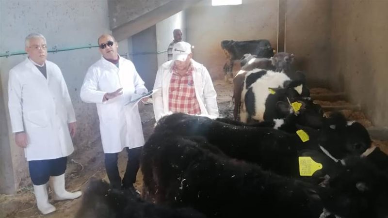 استمرار فعاليات الحملة