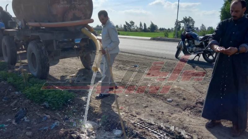 زراعة الأشجار