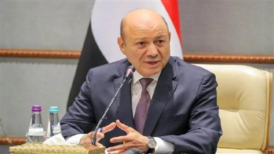 رئيس مجلس القيادة اليمني يبحث مع مسئول أممي سبل ردع الحوثيين