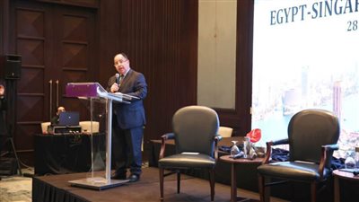 وزير المالية: أداء الاقتصاد المصري جيد رغم كل التحديات العالمية شديدة الصعوبة