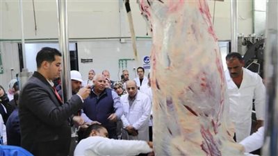 وزارة التنمية المحلية تتابع افتتاح الزملوط لمجزر باريس بالوادي الجديد