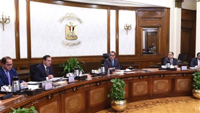 عاجل| مدبولي يتابع مع وزيري البترول والمالية إجراءات توفير التمويل اللازم لاستيراد المنتجات البترولية