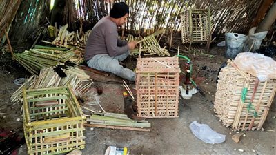  صناعة الاقفاص الخشبية مهنة معرضة للانقراض ..والبقاء للبلاستيك والكرتون