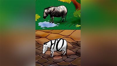 #الريشة_في_مواجهة_التغيرات_المناخية 