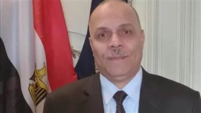 الأجهزة الأمنية بالبحيرة تنجح في ضبط المتهم بقتل عامل سيراميك 