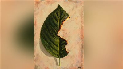 #الريشة_في_مواجهة_التغيرات_المناخية 