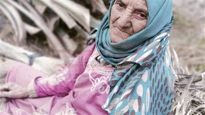 الحاجة سلمى في العقد السابع من عمرها.. أسطى تنظيف جريد النخيل بالإسماعيلية