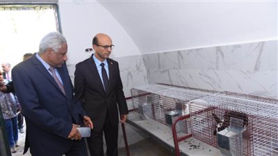 رئيس جامعة أسيوط يؤكد تقديم الدعم اللازم لمضاعفة العملية الإنتاجية لمزرعة كلية الزراعة