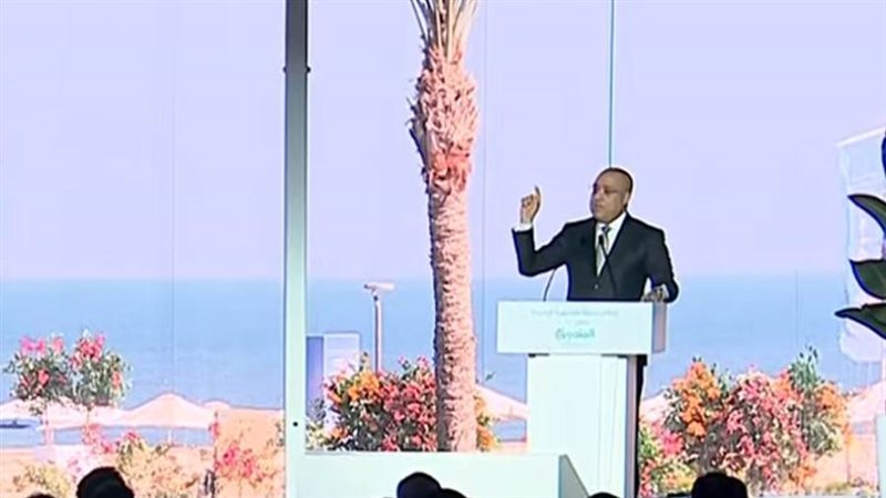 وزير الإسكان عاصم