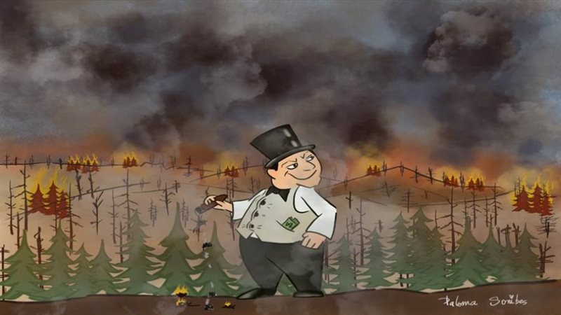 بوابة روز اليوسف