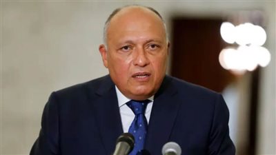  شكري: إمكانات مصر كـ